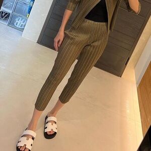 Issey Miyake Pleats Please Striped Black and Brown Pants